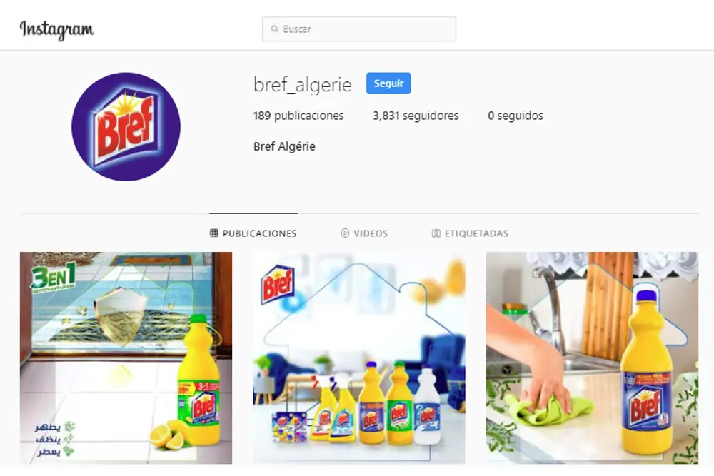 bref-algerie-instagram