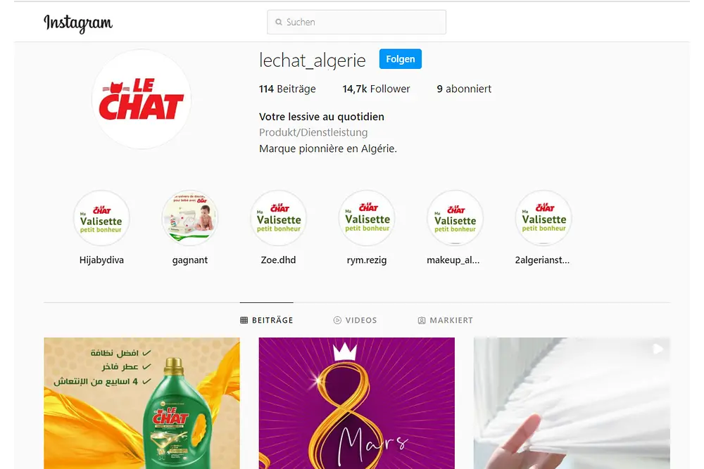 le-chat-algerie-instagram
